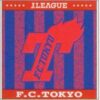 FC東京　ミニタオル